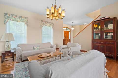 5442 ELLETT LANE, RIXEYVILLE, VA 22737