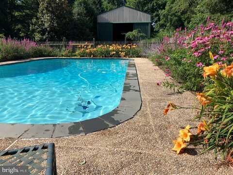 411 CORSICA NECK ROAD, CENTREVILLE, MD 21617
