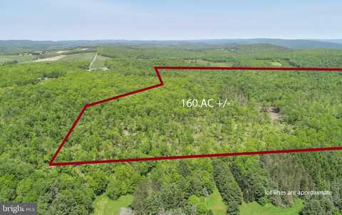 2026 SPRING LICK ROAD, SWANTON, MD 21561