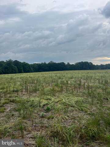 Lot 10 SALEM CHURCH RD, KING GEORGE, VA 22485