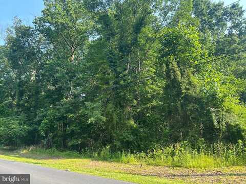 0 BLACKBIRD STATION ROAD, TOWNSEND, DE 19734