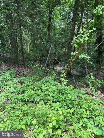 ELM TRAIL, CROWNSVILLE, MD 21032