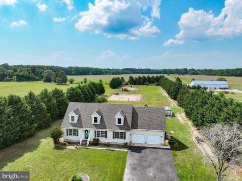 22408 HOG CREEK ROAD, PRESTON, MD 21655