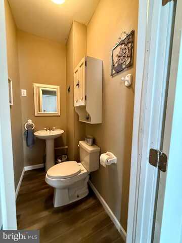 10124 HUMMINGBIRD STREET, ELLERSLIE, MD 21529