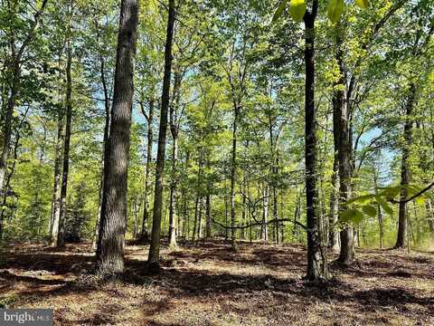 00 Lot 3 TAPPS FORD, AMISSVILLE, VA 20106