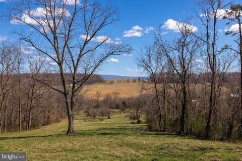 0 HOLMAN CREEK LN, TIMBERVILLE, VA 22853