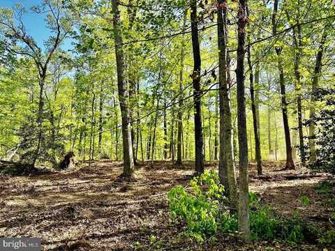 000 Lot 4 TAPPS FORD ROAD, AMISSVILLE, VA 20106