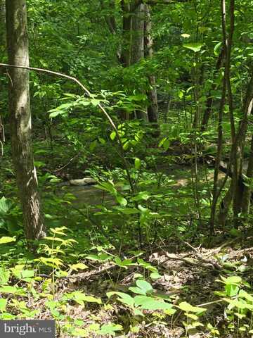 4127 HARDSCRABBLE, LINDEN, VA 22642