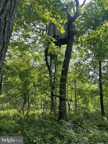 REED ROAD, KNOXVILLE, MD 21758