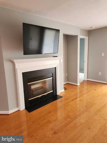 13107 MILLHAVEN PLACE, GERMANTOWN, MD 20874