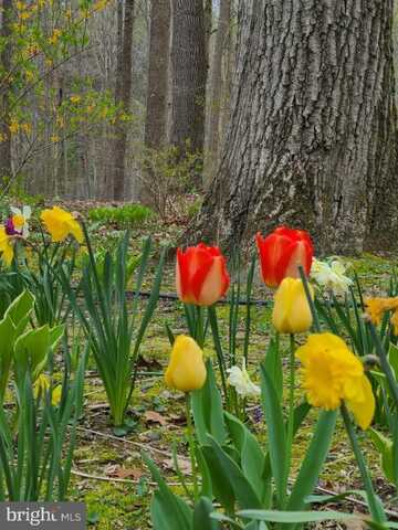 1738 SHANWICK ROAD, FOREST HILL, MD 21050