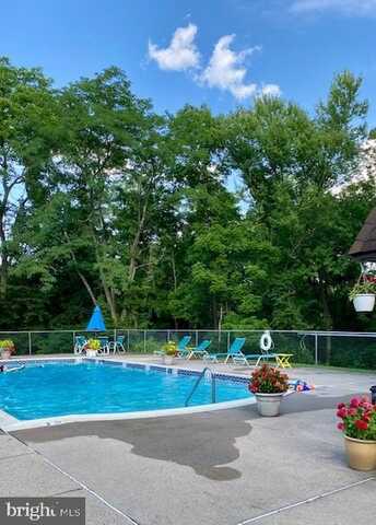 91 HERMITAGE DRIVE, NEW HOPE, PA 18938