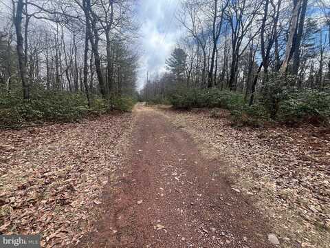 74 & 75 ELM DR., CATAWISSA, PA 17820