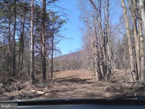 CRITTON OWL HOLLOW RD, SLANESVILLE, WV 25444