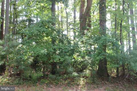 146 CAPTAINS CORRIDOR, GREENBACKVILLE, VA 23356