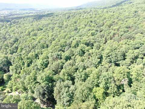 5.5+/- ACRES MOUNTAIN GREEN ROAD, WILLOW HILL, PA 17271