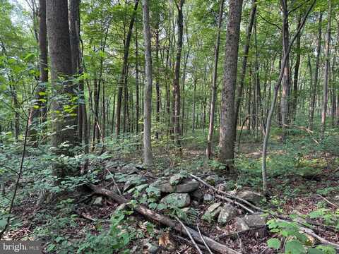 5.5+/- ACRES MOUNTAIN GREEN ROAD, WILLOW HILL, PA 17271
