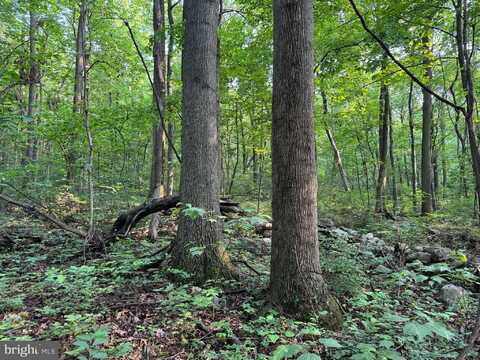 5.5+/- ACRES MOUNTAIN GREEN ROAD, WILLOW HILL, PA 17271