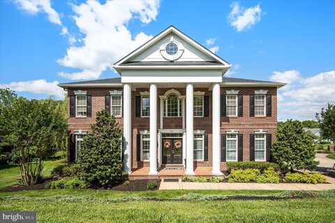 801 ARMISTEAD STREET, WINCHESTER, VA 22601