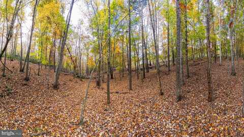 695 WHIPPOORWILL LANE, SHIPMAN, VA 22971