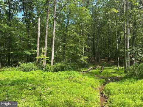 5.73 AC ANTHONY BOHRER ROAD, SLANESVILLE, WV 25444