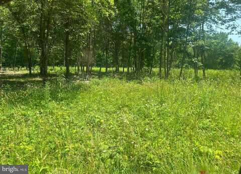 Lot 2 KENTUCKY SPRINGS RD, BUMPASS, VA 23024