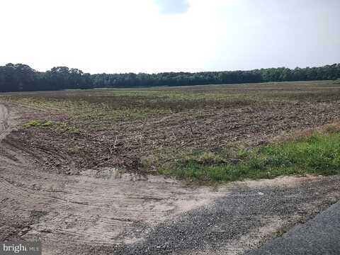 0 ROUNDS ROAD, PITTSVILLE, MD 21850