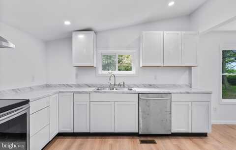26959 BRANCHTOWN ROAD, WORTON, MD 21678