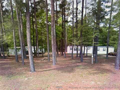 Old Baker Road, Maxton, NC 28364