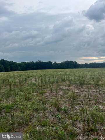 Lot 9 SALEM CHURCH RD, KING GEORGE, VA 22485