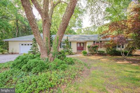 414 ELBERTA AVENUE, SALISBURY, MD 21801