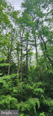 YOUGH VIEW DRIVE, OAKLAND, MD 21550