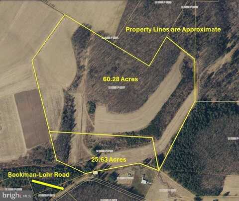 BECKMAN-LOHR ROAD, SWANTON, MD 21561