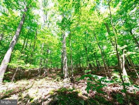 LOTS 8 & 9 ELK TRAIL, WINCHESTER, VA 22602