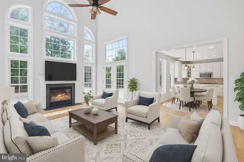 17301 ROUNDMONT PLACE, ROUND HILL, VA 20141