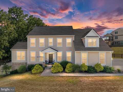 131 CHANTERELLE COURT, STEPHENS CITY, VA 22655