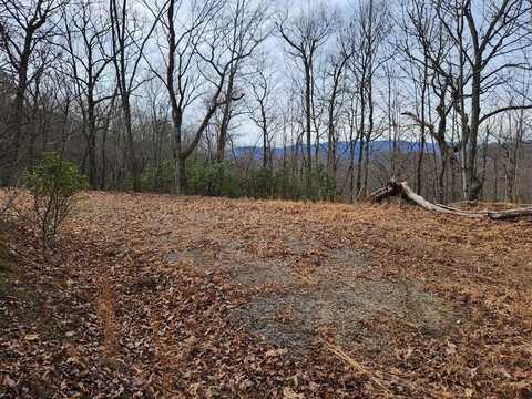 Highlands Pass Trail, Franklin, NC 28734