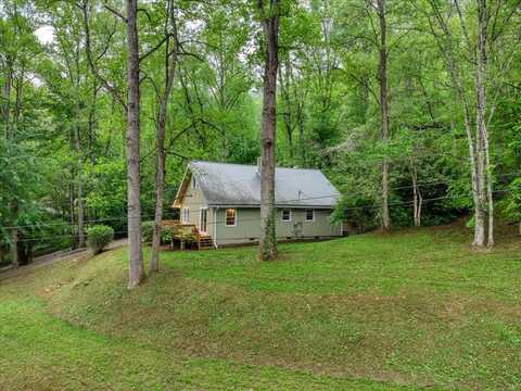 1004 Buchanan Loop Rd, Webster, NC 28788