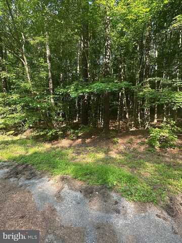 DECLARATION DRIVE, MONTROSS, VA 22520