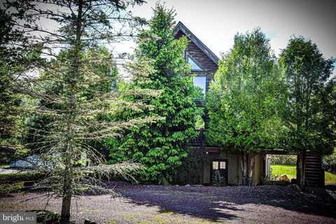 91 PENN FOREST TRAIL, ALBRIGHTSVILLE, PA 18210