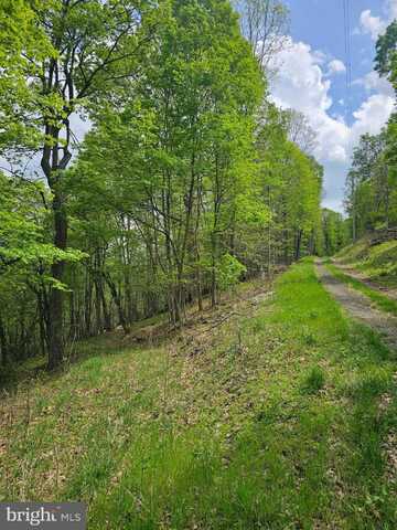 HIGH VIEW ROAD, OLD FIELDS, WV 26845