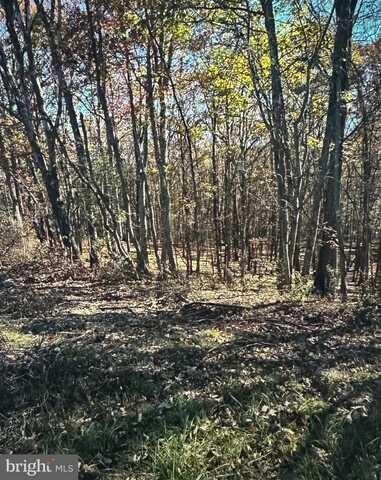 GREEN RIDGE ROAD, FLINTSTONE, MD 21530