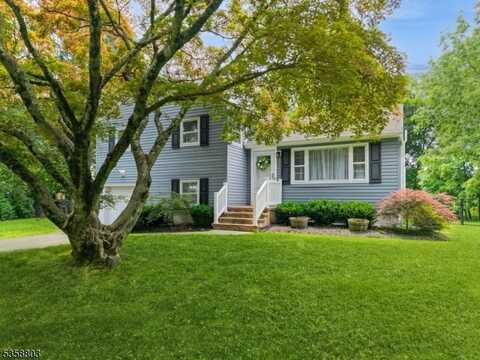 457 Valley Rd, Hilltop, NJ 07933