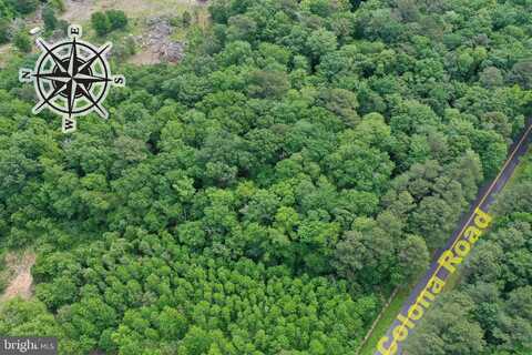 13.17 Acres COLONA ROAD, POCOMOKE CITY, MD 21851