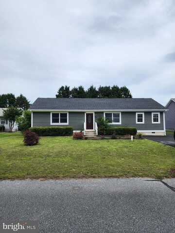 38751 SEA GULL ROAD, SELBYVILLE, DE 19975
