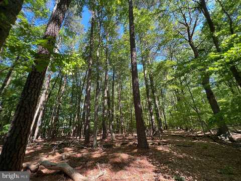 Parcel 40 REVELLS NECK ROAD, WESTOVER, MD 21871