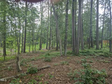 115 Stella Court, Morrisville, NC 27560