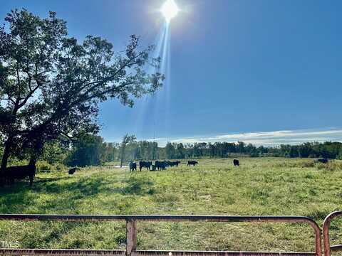 Lot 1 Jones Road, Hurdle Mills, NC 27541