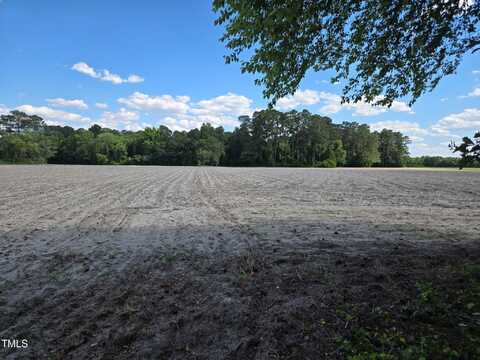 0 Lee-Johnson Road, Dunn, NC 28334