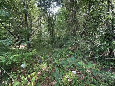 322 Courtland Drive, Angier, NC 27501